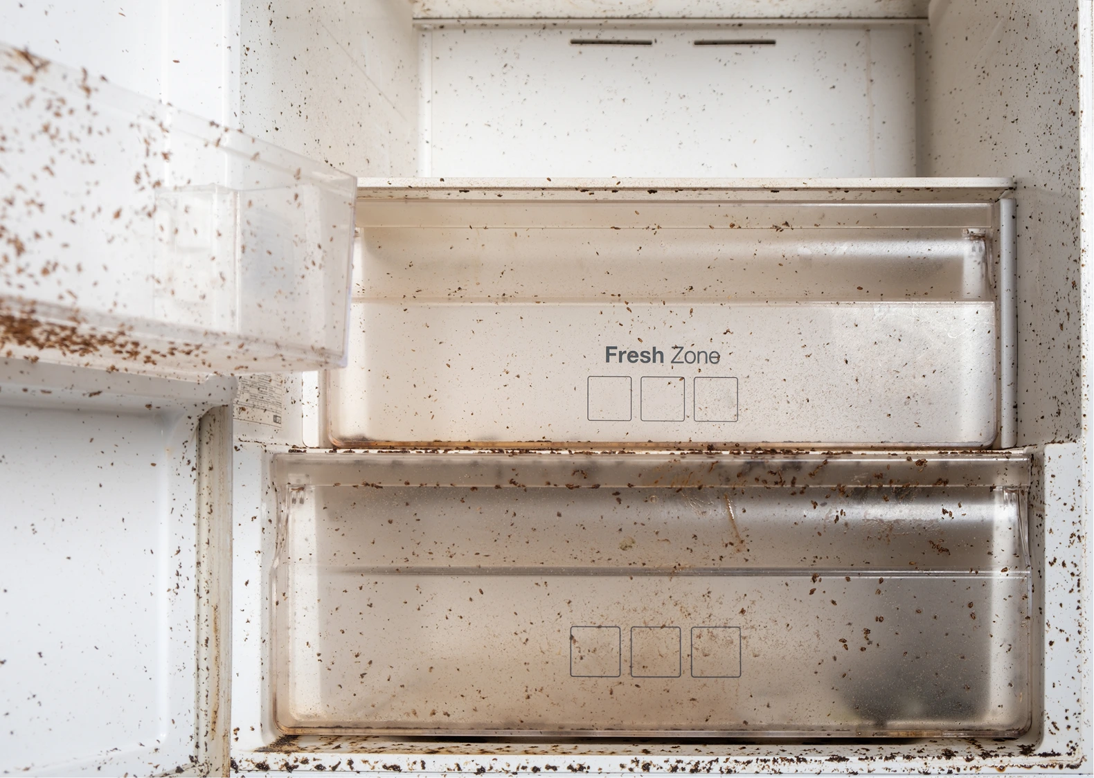 befor-after-female-hand-washes-the-refrigerator-sh-2025-01-09-04-35-32-utc 1